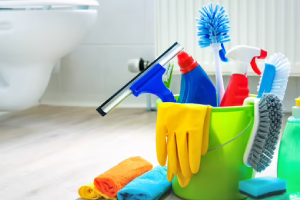 Messie Reinigung Rodgau
